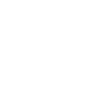 hamid taghvaei